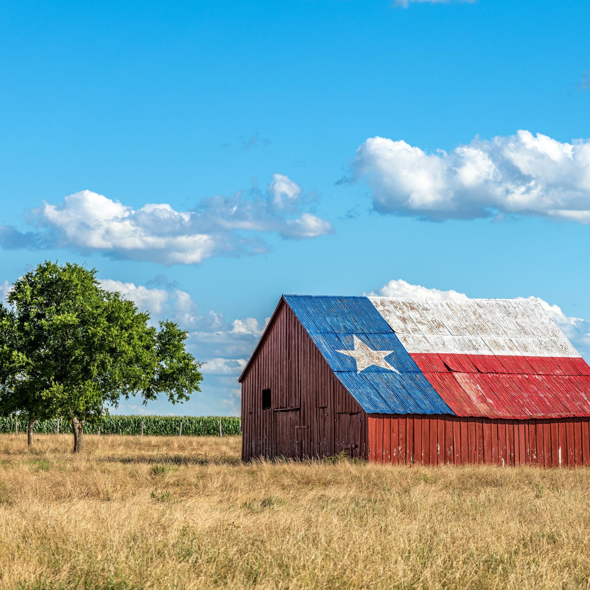 What are Premises Liability Laws? | Daniel Stark