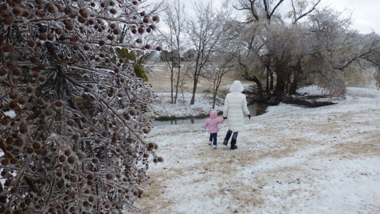 Dallas, Winter Tips